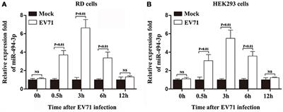 Host MicroRNA hsa-miR-494-3p Promotes EV71 Replication by Directly Targeting PTEN